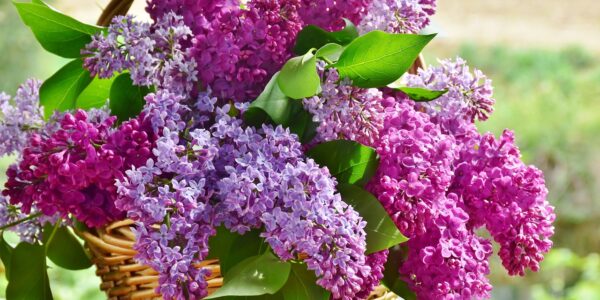 Sznurek florystyczny - funkcjonalność i estetyka w aranżacjach kwiatowych